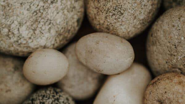 Textures Shoot 10