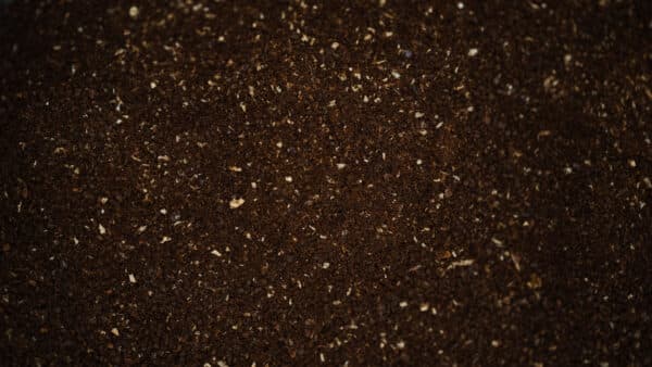 Textures Shoot 18