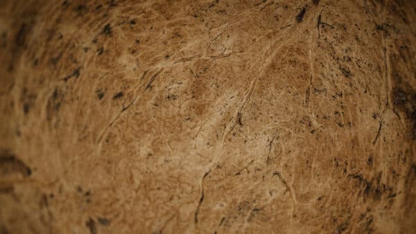 Textures Shoot 21