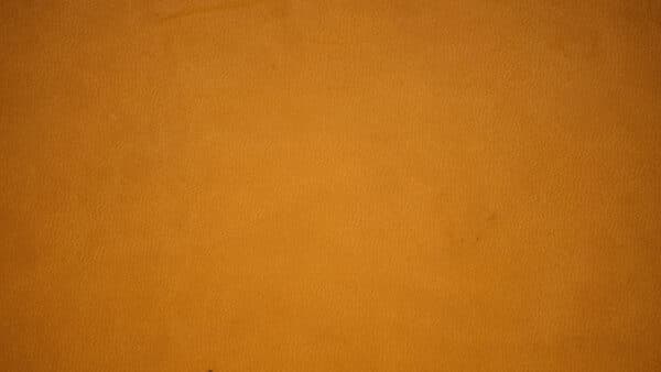 Textures Shoot 27