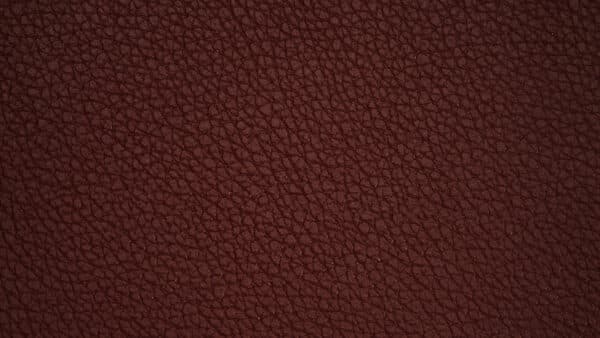 Textures Shoot 31