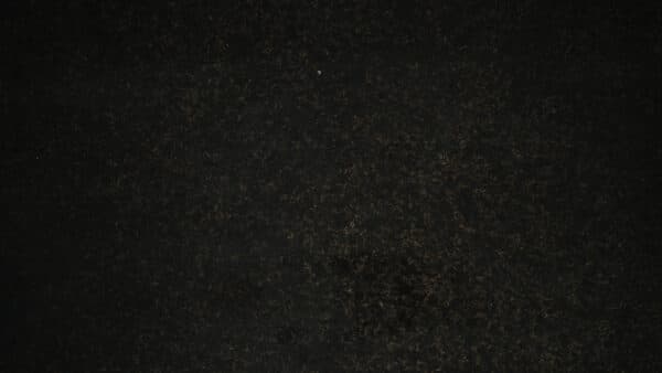 Textures Shoot 33