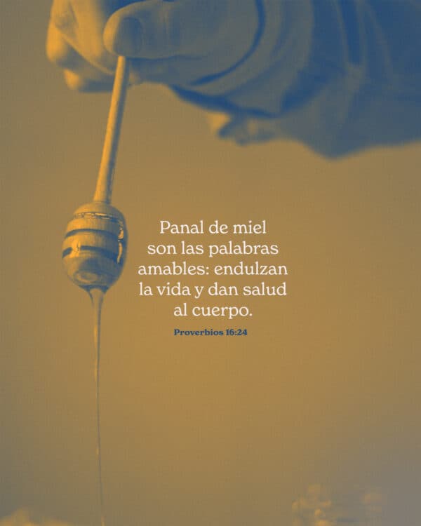 Panal de miel son las palabras amables: endulzan la vida y dan salud al cuerpo. - Proverbios 16:24