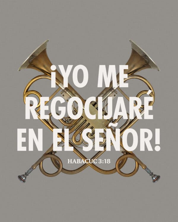 Yo me regocijaré en el Señor. - Habacuc 3:18