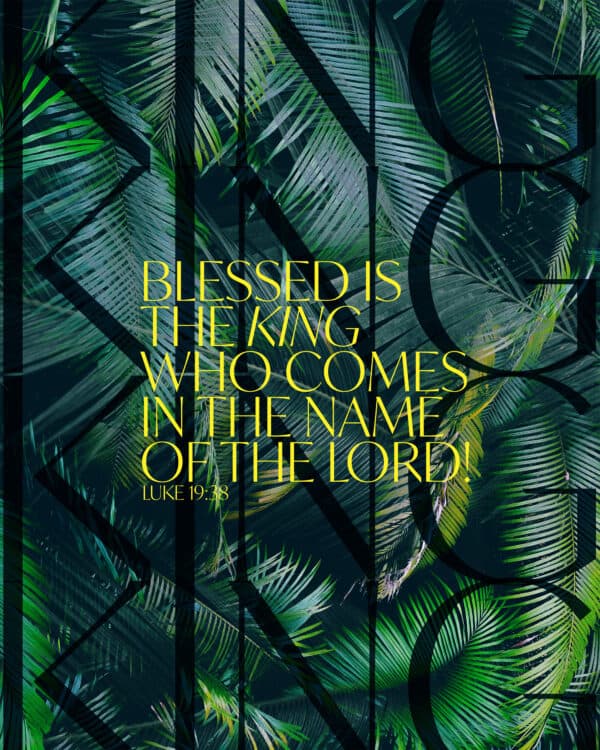 Blessed is the King who comes in the name of the Lord! - Luke 19:38