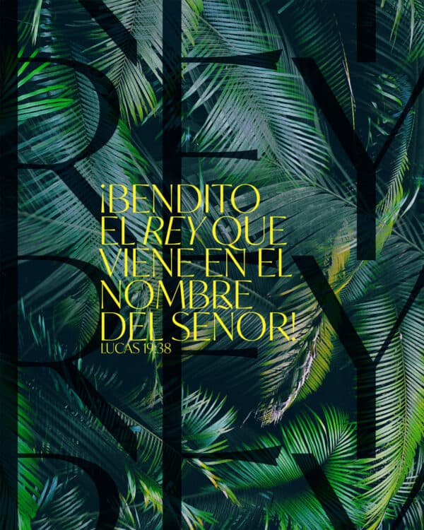 ¡Bendito el Rey que viene en el nombre del Señor! - Lucas 19:38