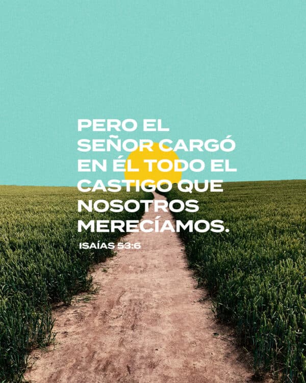 Pero el SEÑOR cargó en Él todo el castigo que nosotros merecíamos. - Isaías 53:6