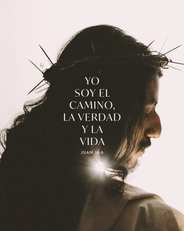 Yo soy el camino, la verdad y la vida. - Juan 14:6