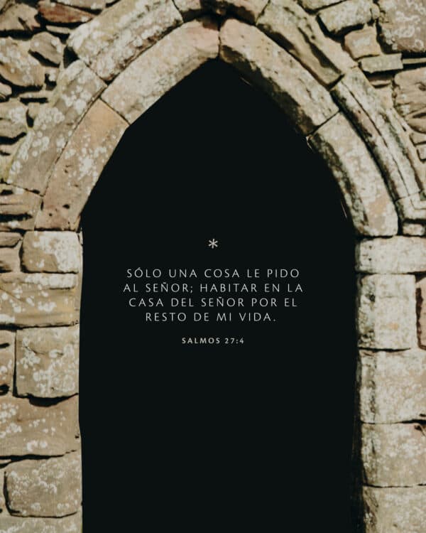 Sólo una cosa le pido al SEÑOR; habitar en la casa del SEÑOR por el resto de mi vida. - Salmos 27:4