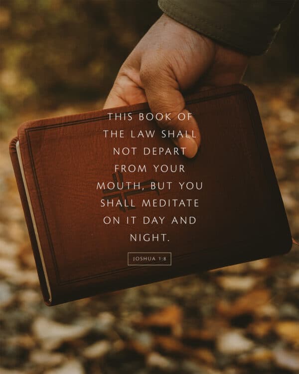This Book of the Law shall not depart from your mouth, but you shall meditate on it day and night. - Joshua 1:8