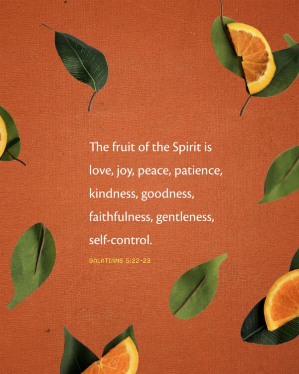 The fruit of the Spirit is love, joy, peace, patience, kindness, goodness, faithfulness, gentleness, self-control. - Galatians 5:22-23