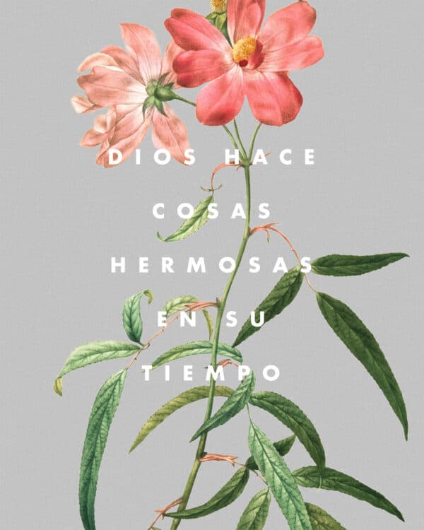 Dios hace cosas hermosas en Su tiempo