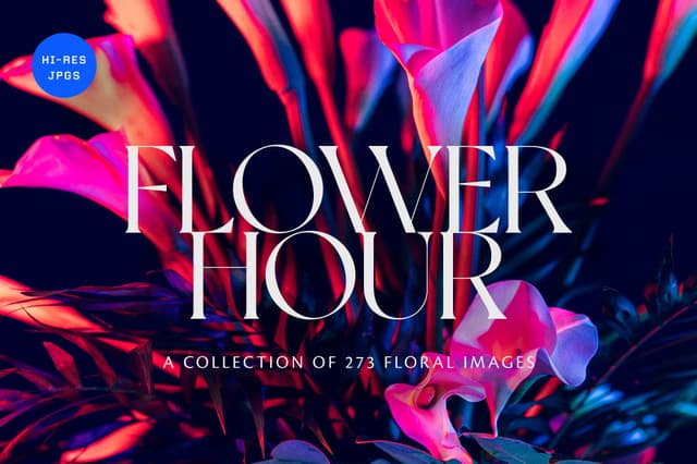 Flower Hour Backgrounds