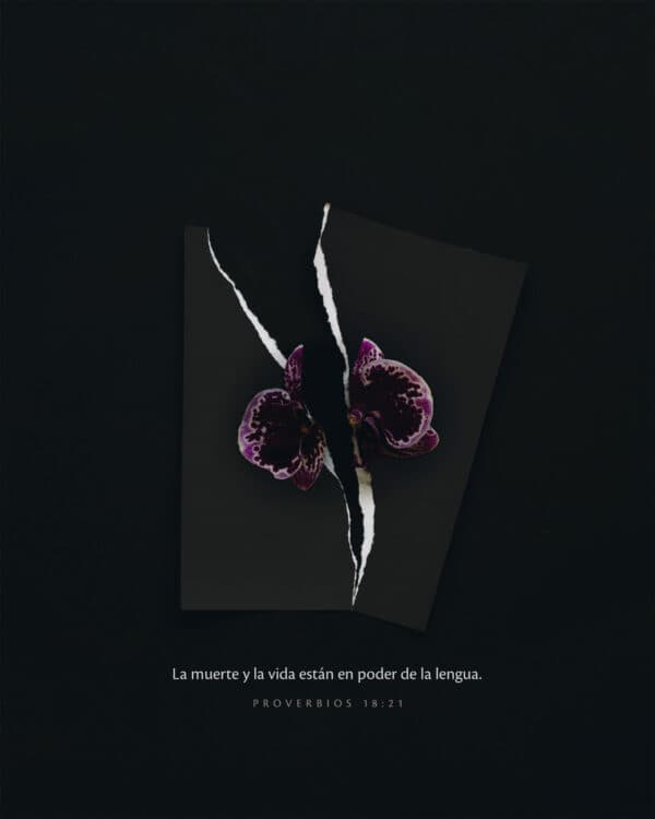 La muerte y la vida están en poder de la lengua. - Proverbios 18:21