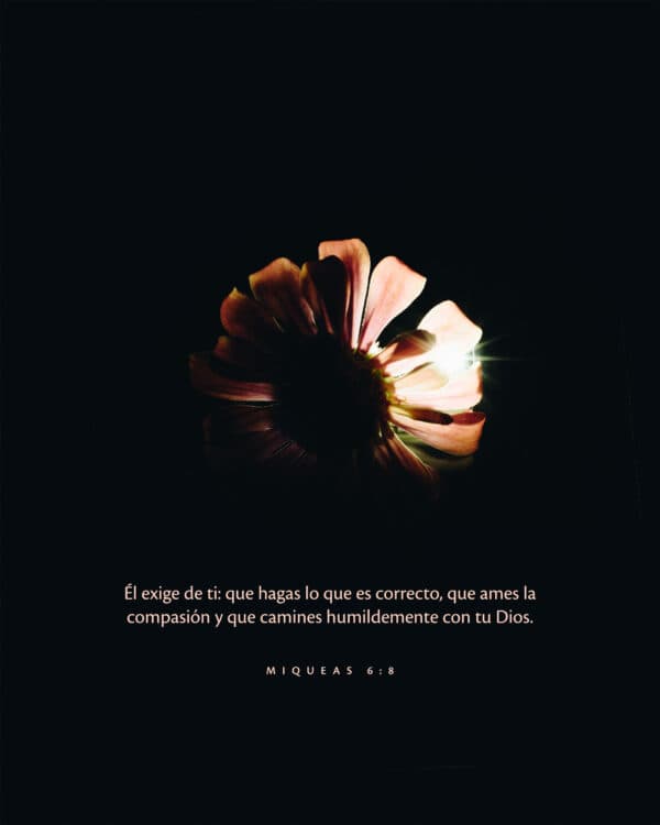 Él exige de ti: que hagas lo que es correcto, que ames la compasión y que camines humildemente con tu Dios. - Miqueas 6:8