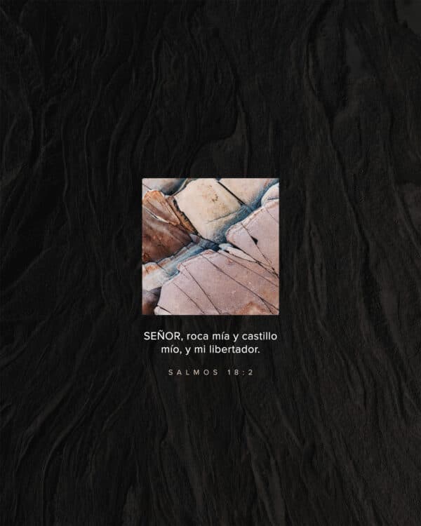 Señor, roca mía y castillo mío, y mi libertador. - Salmos 18:2