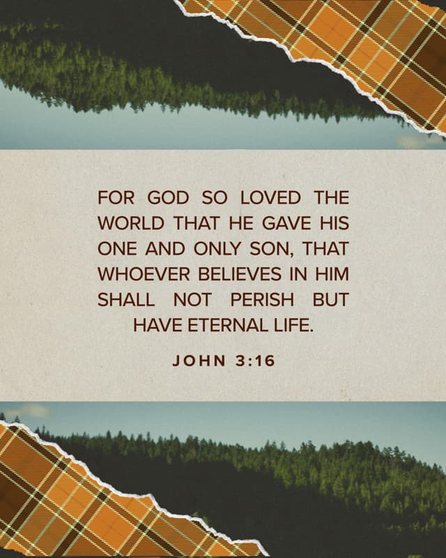 Scripture Posts