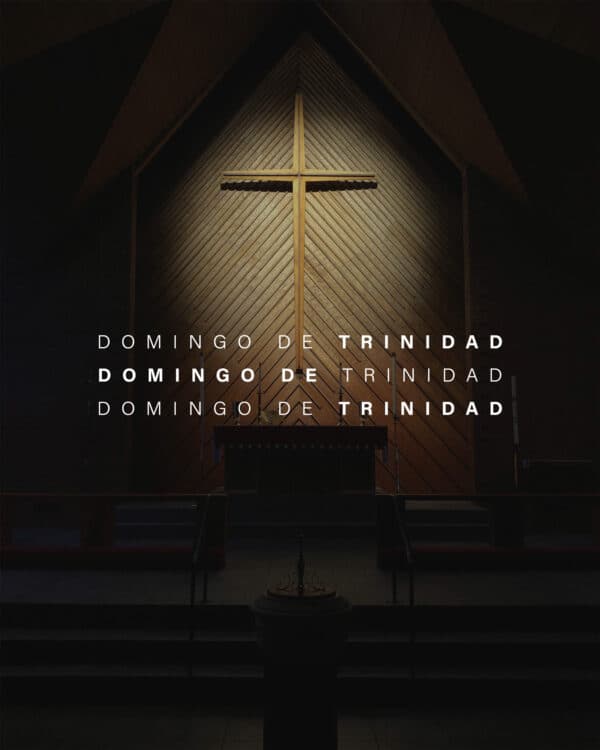Domingo de Trinidad
