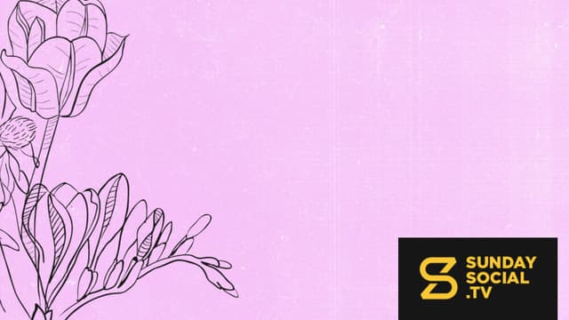 Rooted | Slides, Follow (blank)