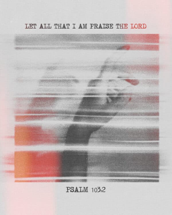 Let all that I am praise the LORD. - Psalm 103:2