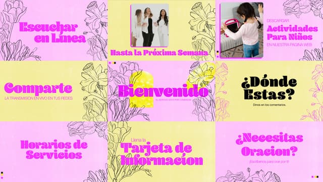 Rooted | Diapositivas