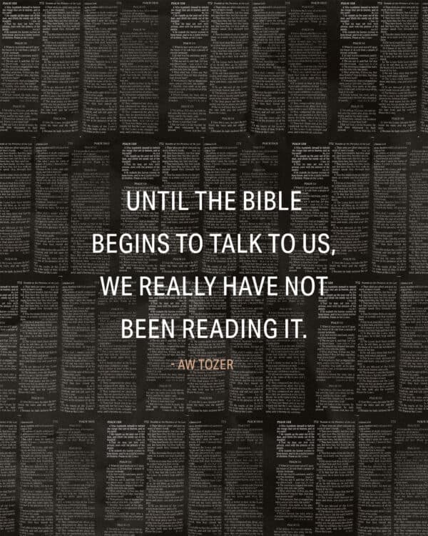 Until the Bible begins to talk to us, we really have not been reading it. - AW Tozer