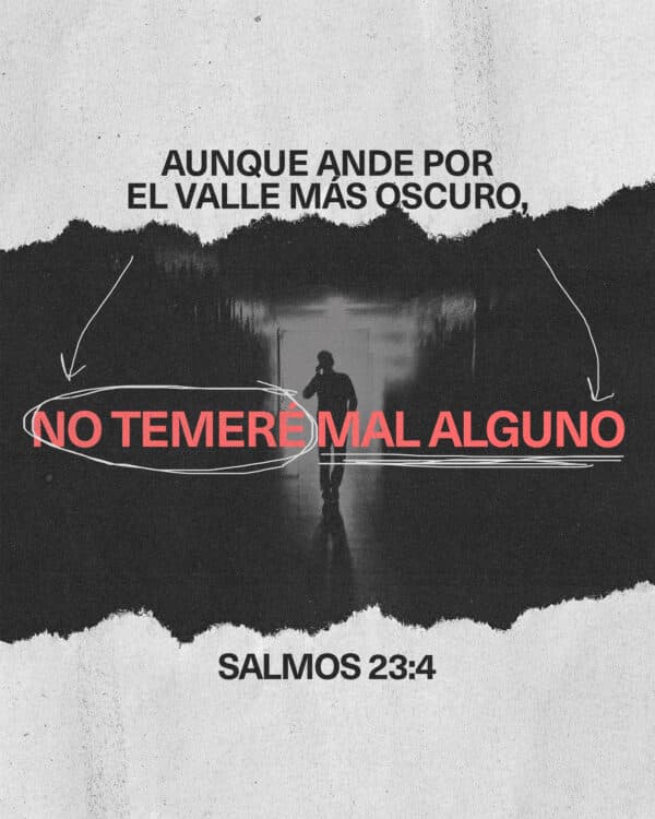 Aunque ande por el valle más oscuro, no temeré mal alguno. - Salmos  23:4