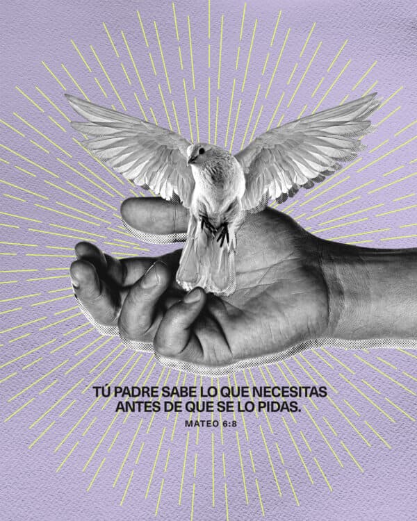 Tú Padre sabe lo que necesitas antes de que se lo pidas. - Mateo 6:8