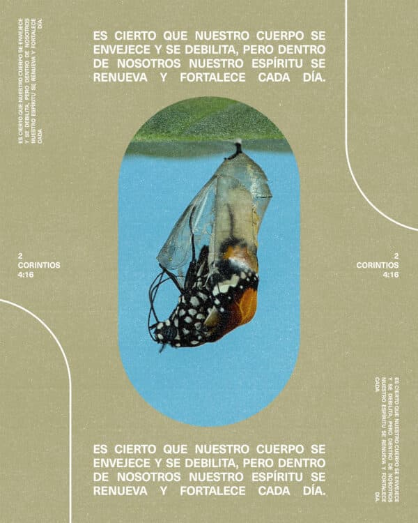 Es cierto que nuestro cuerpo se envejece y se debilita, pero dentro de nosotros nuestro espíritu se renueva y fortalece cada día. - 2 Corintios 4:16