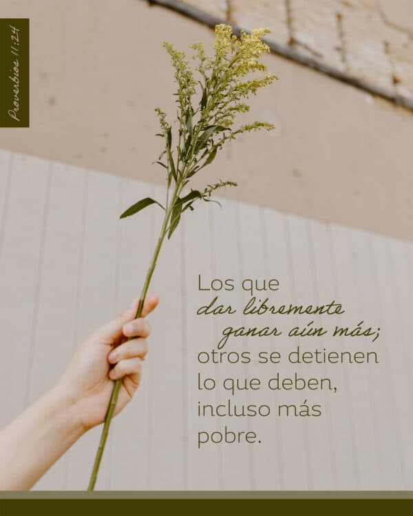 Hay quienes dan con generosidad y reciben más de lo que dan; pero hay quienes son tacaños y terminan en la pobreza. - Proverbios 11:24