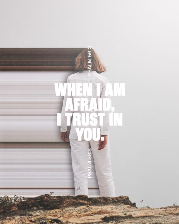 When I am afraid, I trust in you. - Psalm 56:3