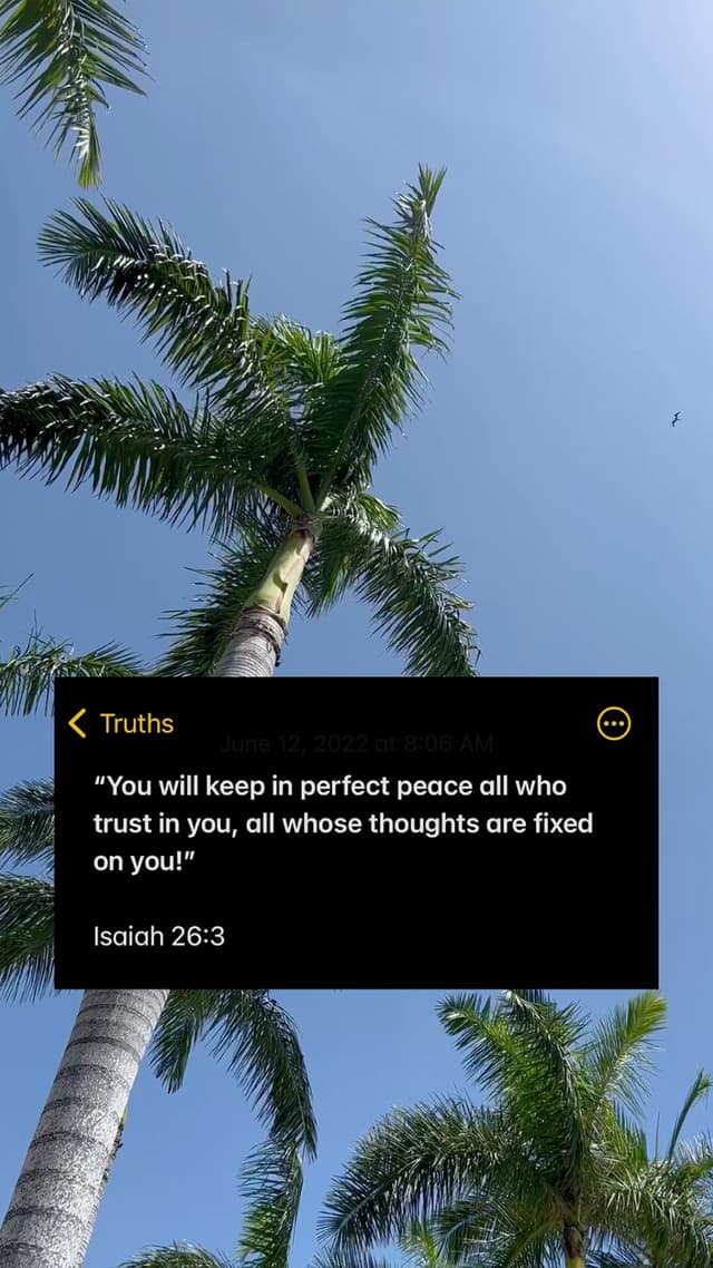 Perfect Peace