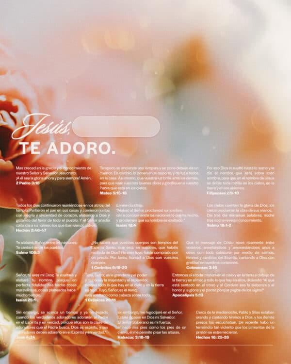 Jesús, Te adoro.