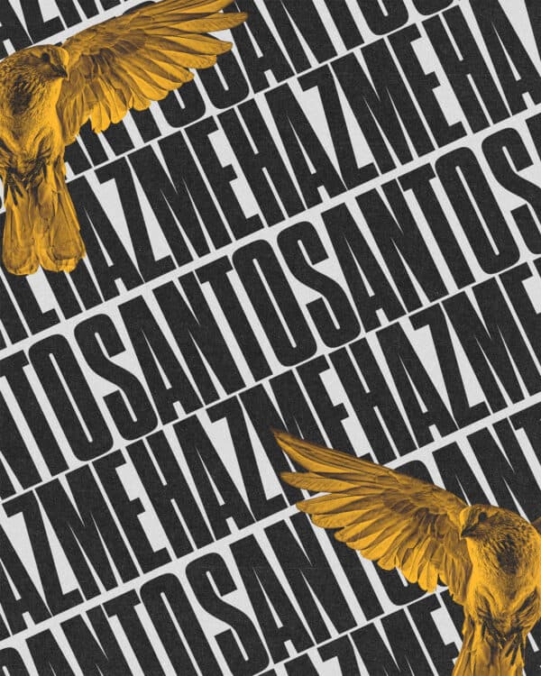 Hazme Santo