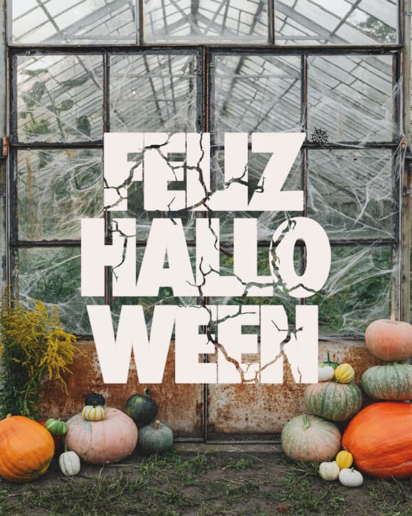 Feliz Halloween