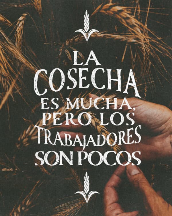 "La cosecha es mucha, pero los trabajadores son pocos." - Mateo 9:37