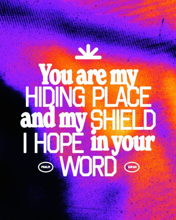 "You are my hiding place and my shield; I hope in your word." - Psalm 119:114