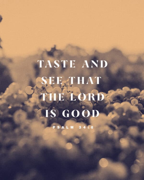 "Taste and see that the LORD is good." - Psalm 34:8