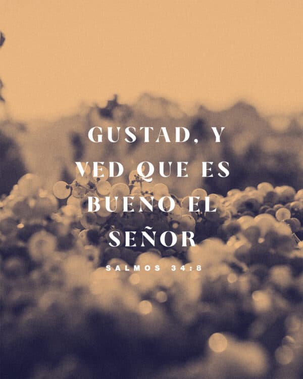 " Gustad, y ved que es bueno el Señor." - Salmos 34:8