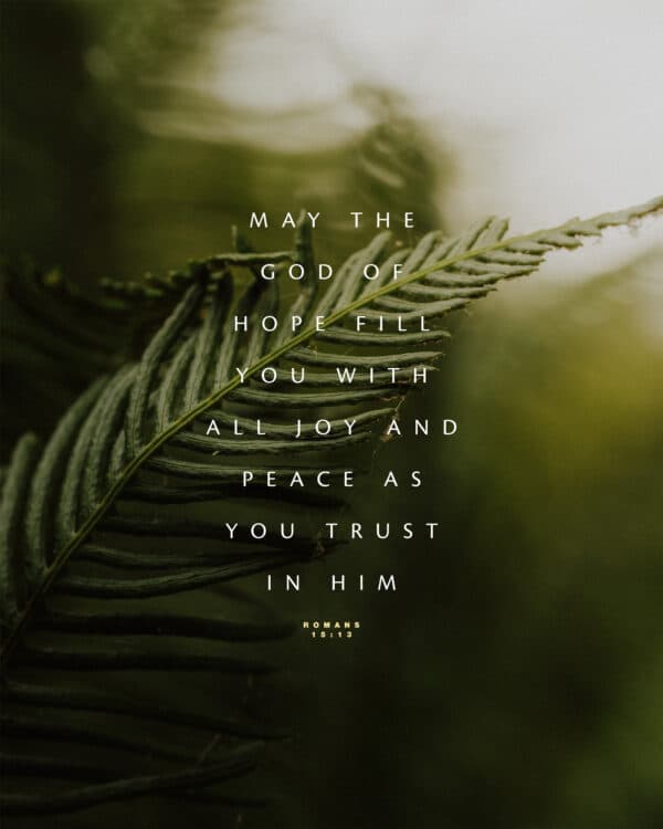 "May the God of hope fill you with all joy and peace as you trust in him." - Romans 15:13