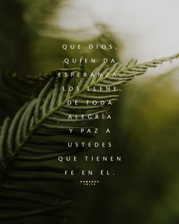 "Que Dios, quien da esperanza, los llene de toda alegría y paz a ustedes que tienen fe en Él." - Romanos 15:13