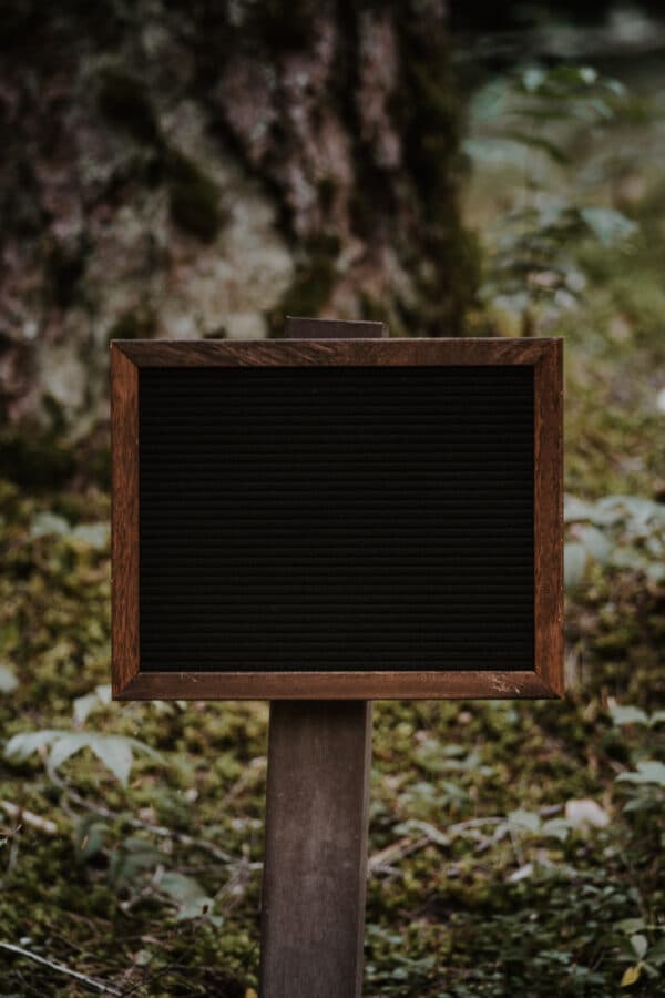 July 2022 Outdoors Shoot 21