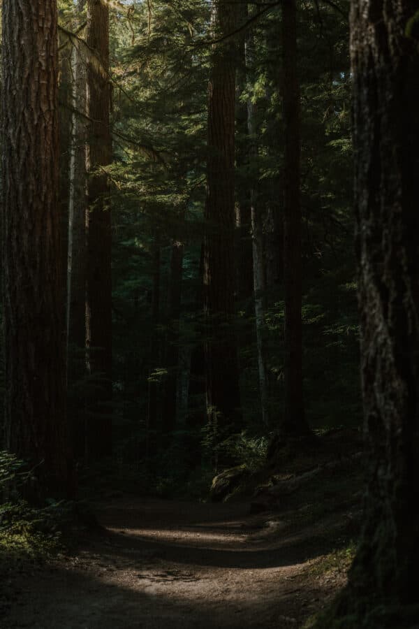 July 2022 Outdoors Shoot 27