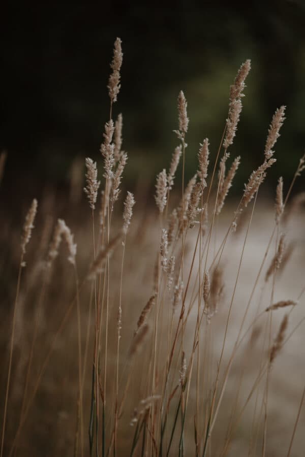 July 2022 Outdoors Shoot 40