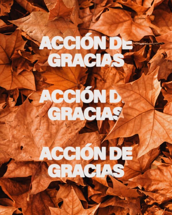 Acción de Gracias