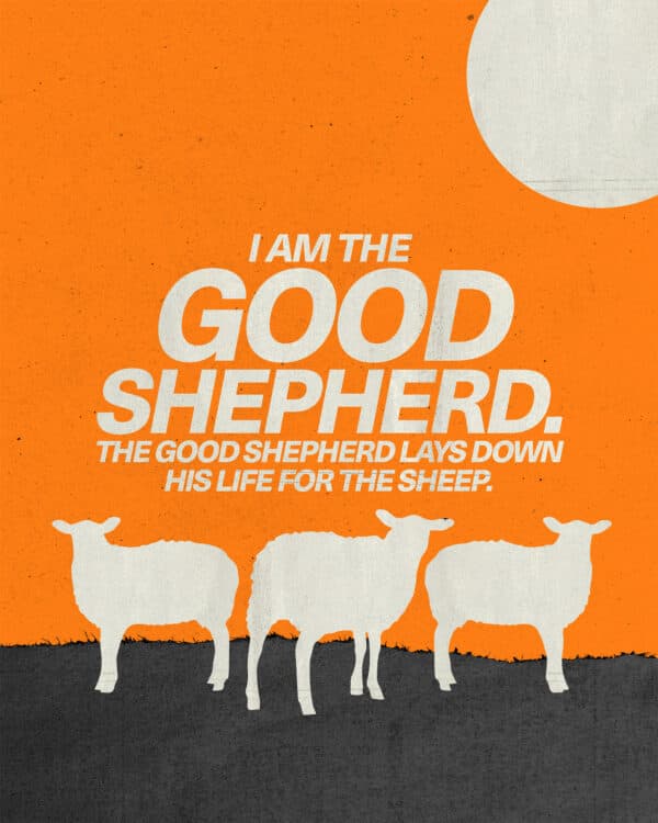 "I am the good shepherd. The good shepherd lays down his life for the sheep." - John 10:11
