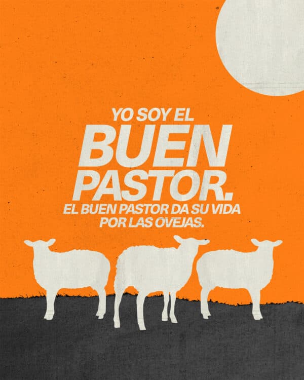 "Yo soy el buen pastor. El buen pastor da su vida por las ovejas." - Juan 10:11