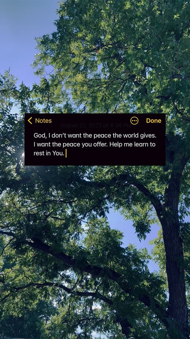 Peace and Rest