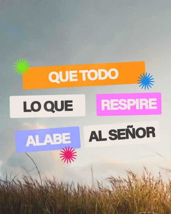 Que todo lo que respire alabe al Señor.