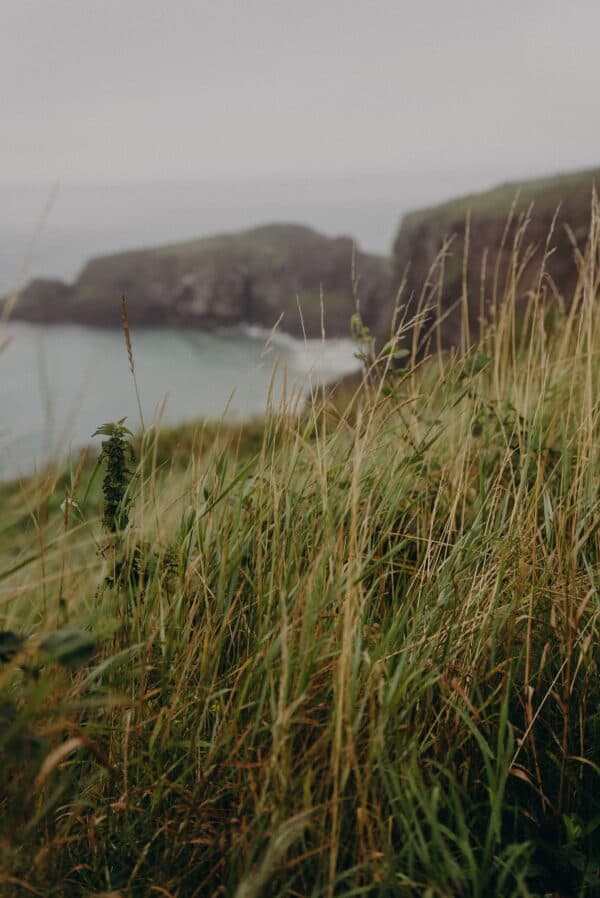 2022 Ireland Shoot 6